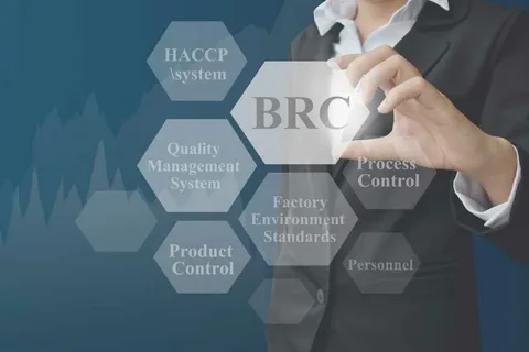 نظام إدارة الجودة في الشركات الحكومية وأثره في رفع كفاءة الأداء