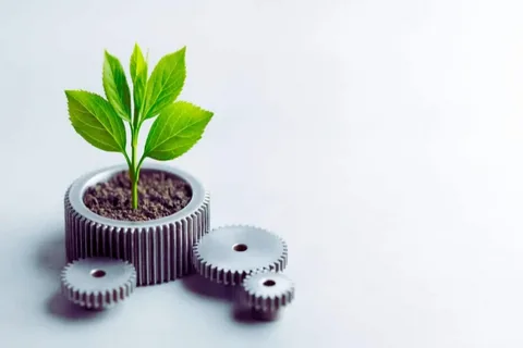 أهداف التنمية المستدامة للشركات